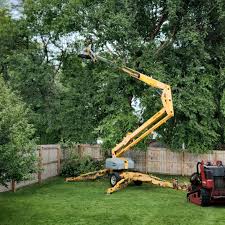 Best Tree and Shrub Care  in Country Knolls, NY